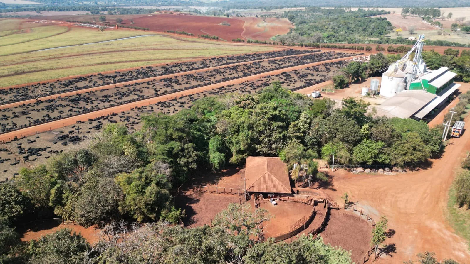 Uma trajetória construída no campo